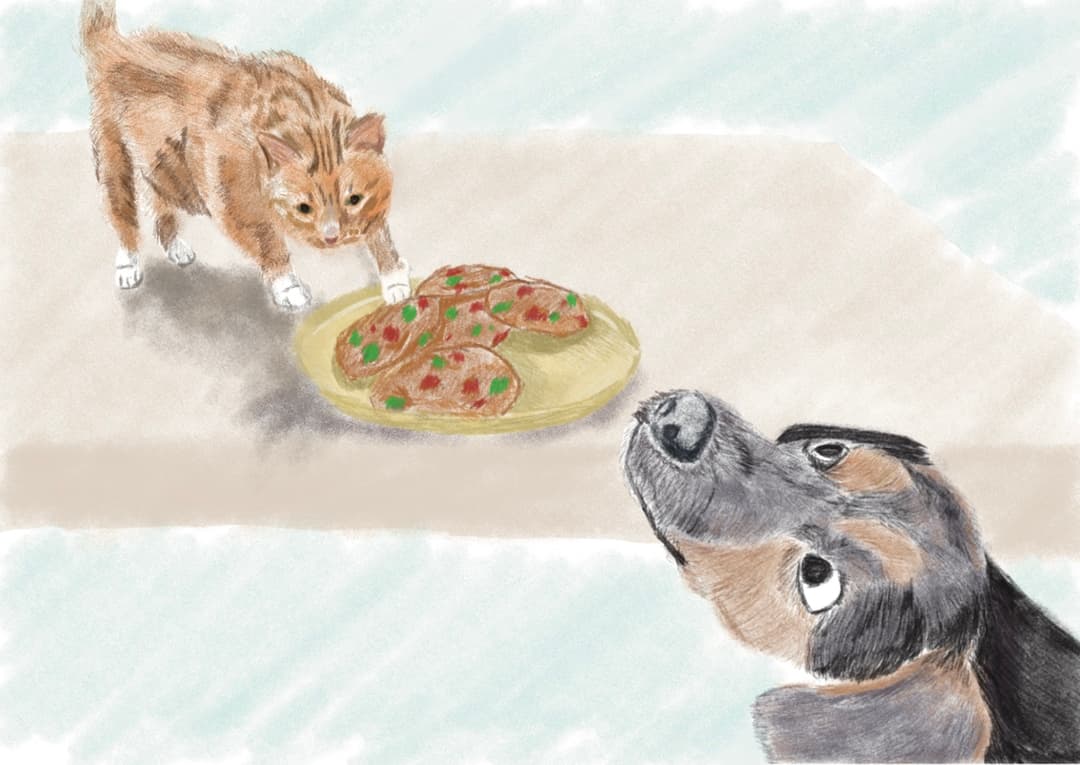 Drawing of Dog and Cat