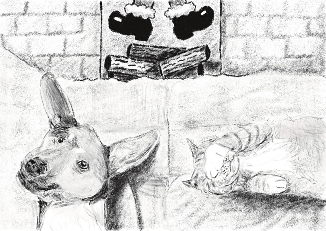 Drawing of Dog and Cat