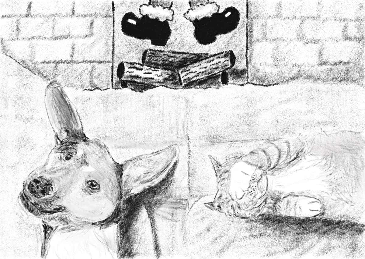 Drawing of Dog and Cat