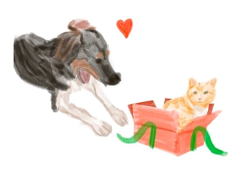 Drawing of Dog and Cat