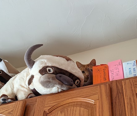 Image of Animal